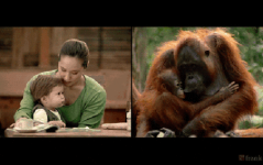 女性私密部位gif图,女性生理结构一览