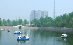 白沟公园小姐姐,美丽风景中的青春风采