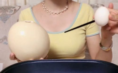 鸡蛋小姐姐,揭秘鸡蛋的神奇魅力与营养秘密